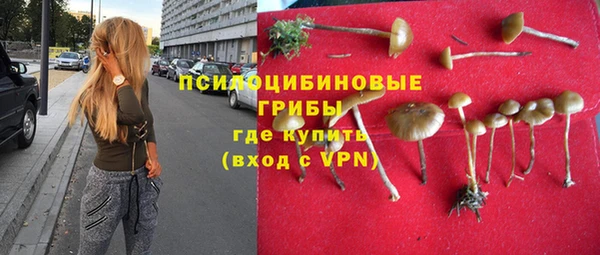 мет Магас