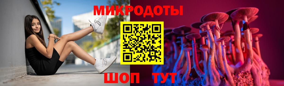 Псилоцибиновые грибы прущие грибы  Вход с VPN  Энгельс 